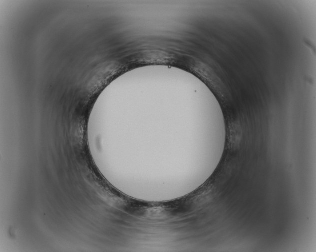 X0000103430309200809191707