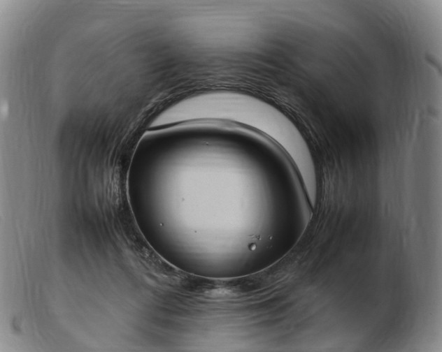 X0000103430312200809191707