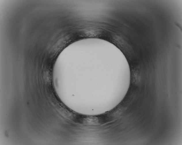 X0000103430317200809191707