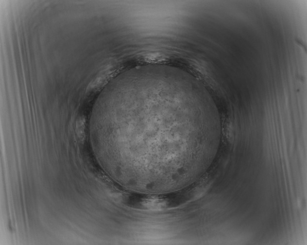 X0000103430319200809191707