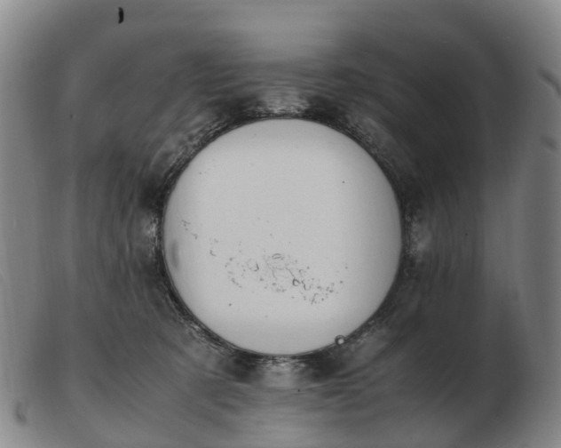 X0000103430321200809191707