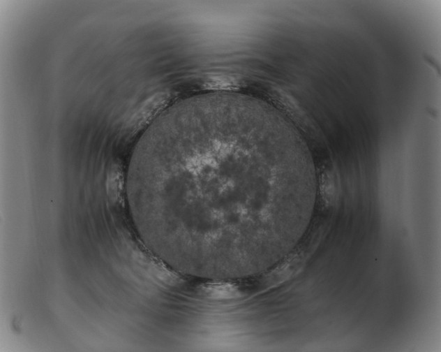 X0000103430322200809191707