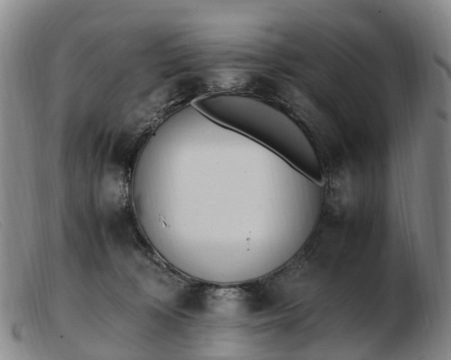 X0000103430324200809191707
