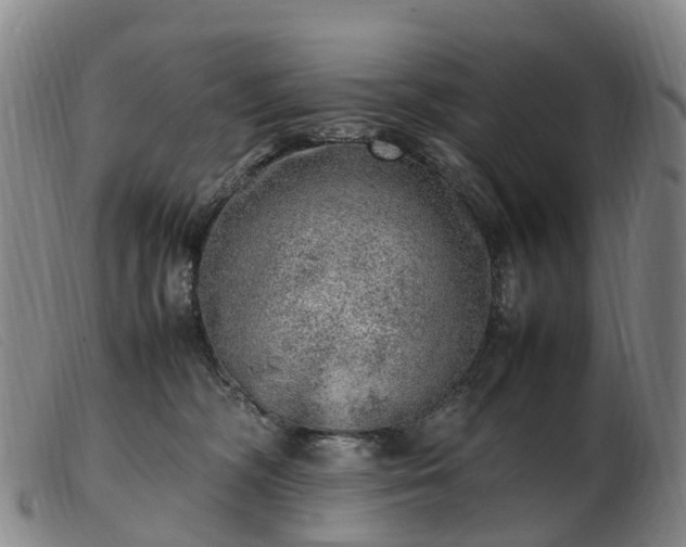 X0000103430326200809191707