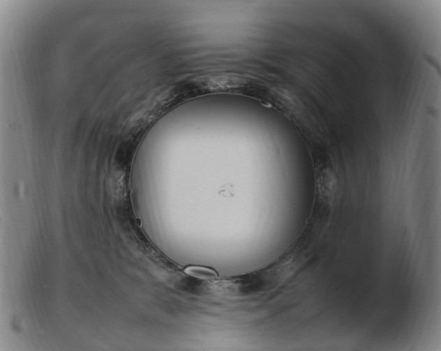 X0000103430327200809191707