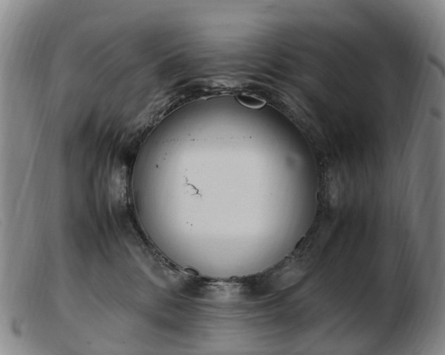 X0000103430328200809191707