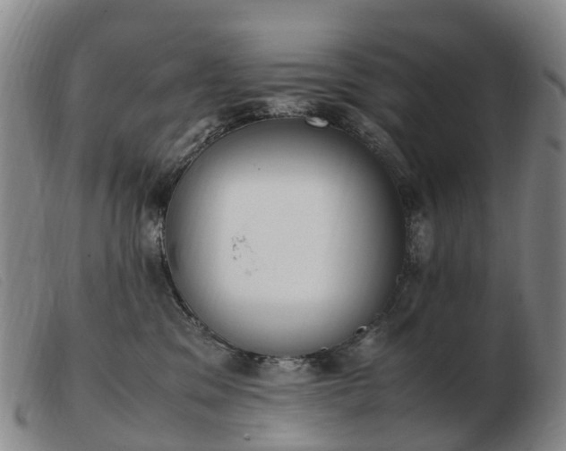 X0000103430329200809191707