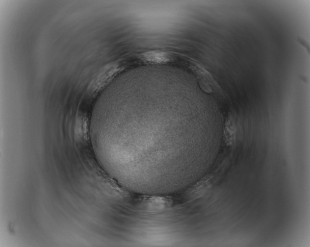 X0000103430330200809191707