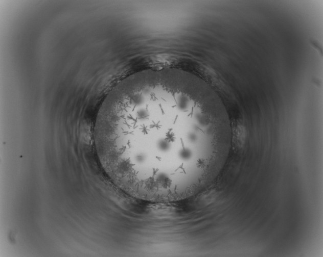 X0000103430331200809191707