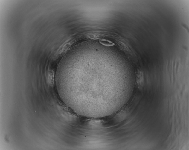 X0000103430332200809191706
