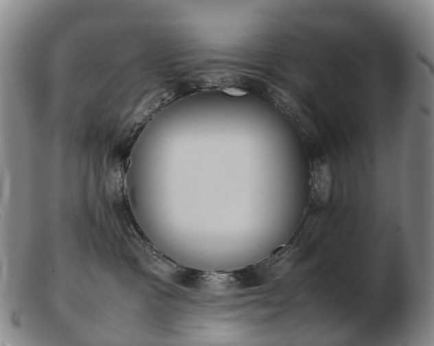 X0000103430333200809191706