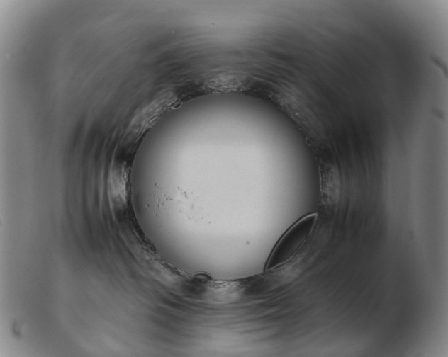 X0000103430334200809191706