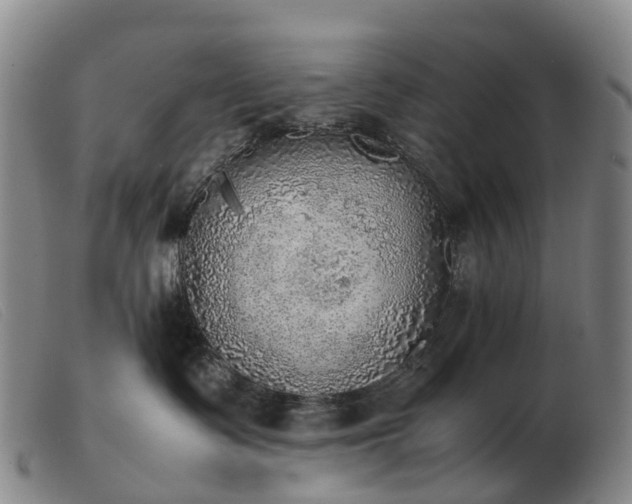 X0000103430335200809191706