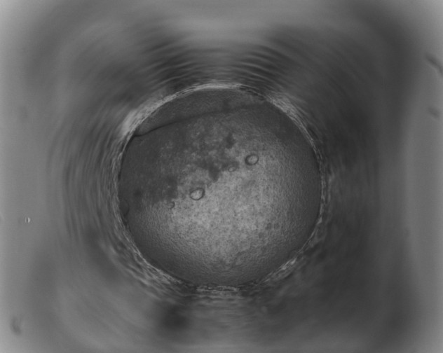 X0000103430337200809191706