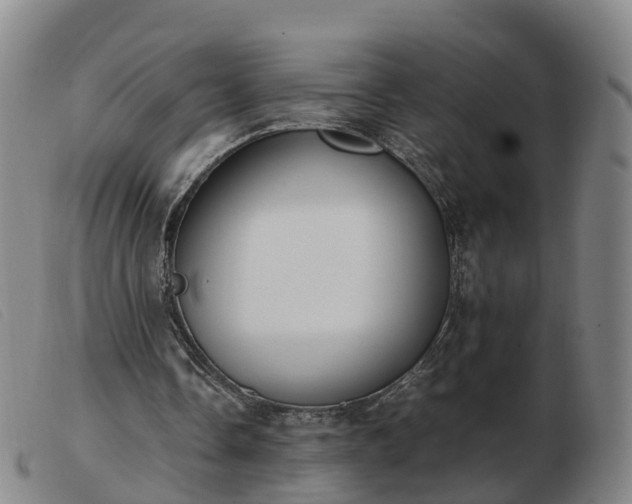 X0000103430338200809191706