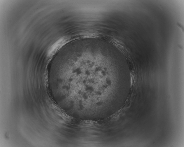 X0000103430339200809191706