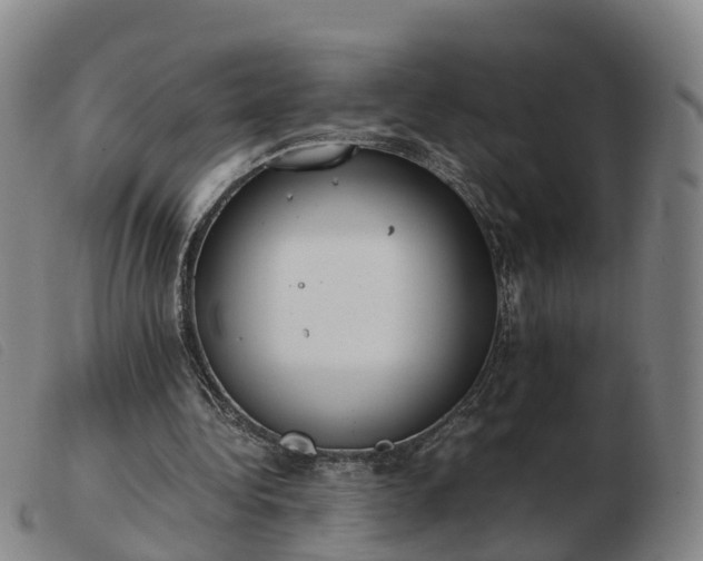 X0000103430340200809191706