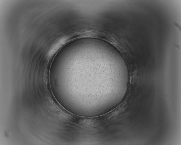 X0000103430341200809191706