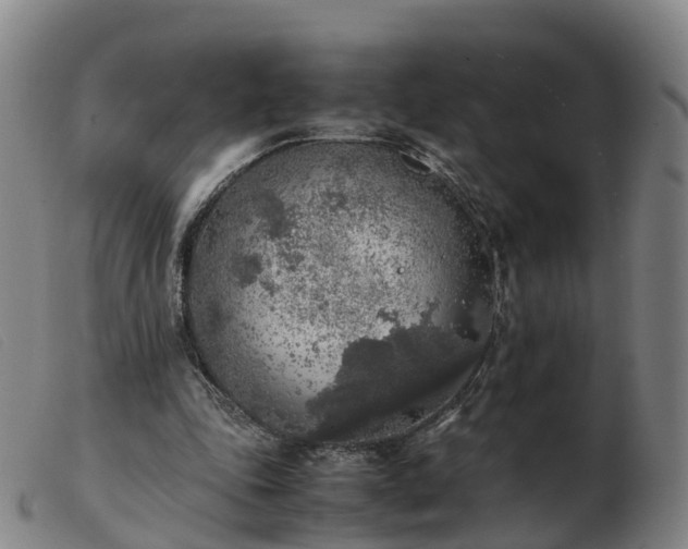 X0000103430343200809191706
