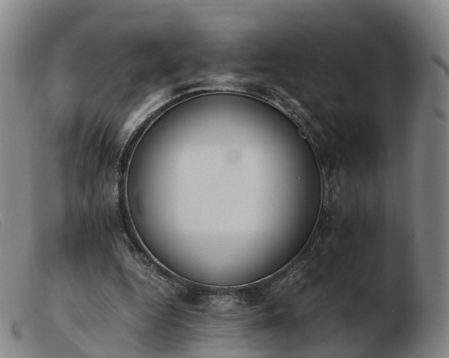 X0000103430344200809191706