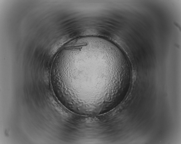 X0000103430345200809191706