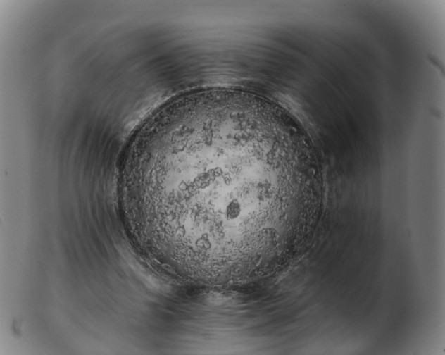 X0000103430346200809191706
