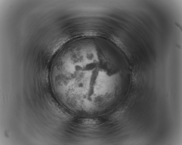 X0000103430347200809191706