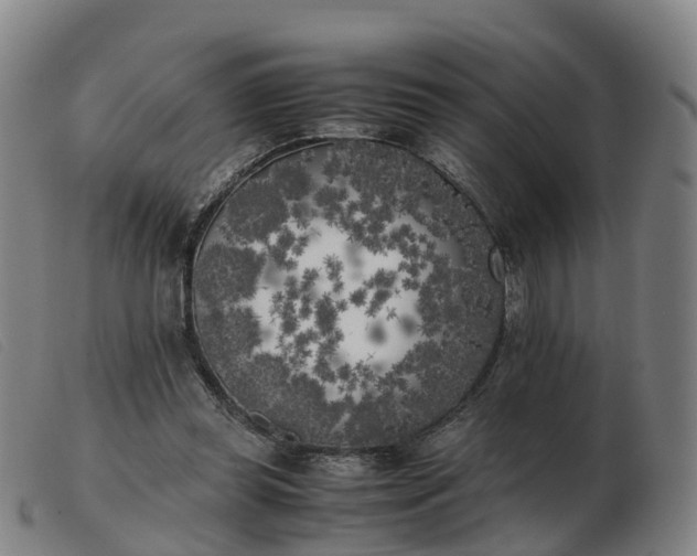 X0000103430349200809191706