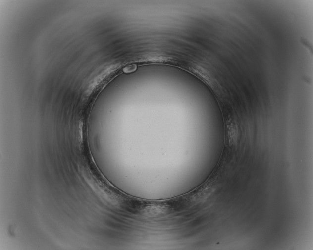 X0000103430350200809191706