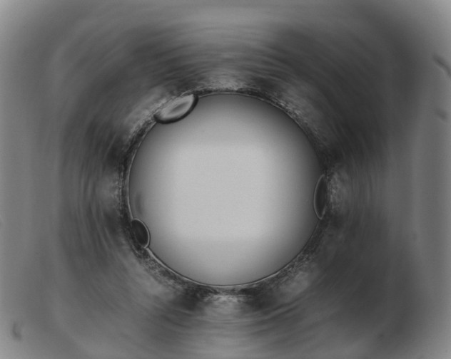 X0000103430352200809191706