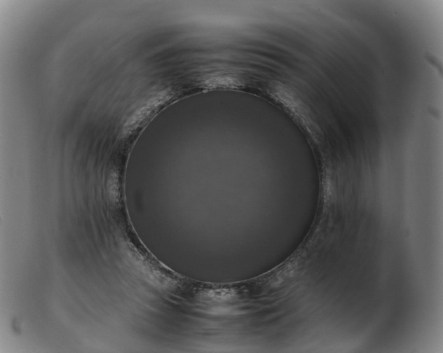 X0000103430353200809191706