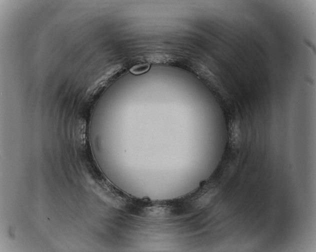 X0000103430356200809191706