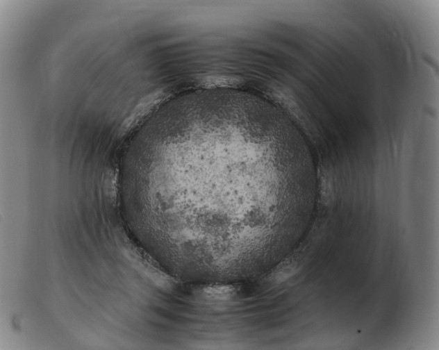 X0000103430357200809191706