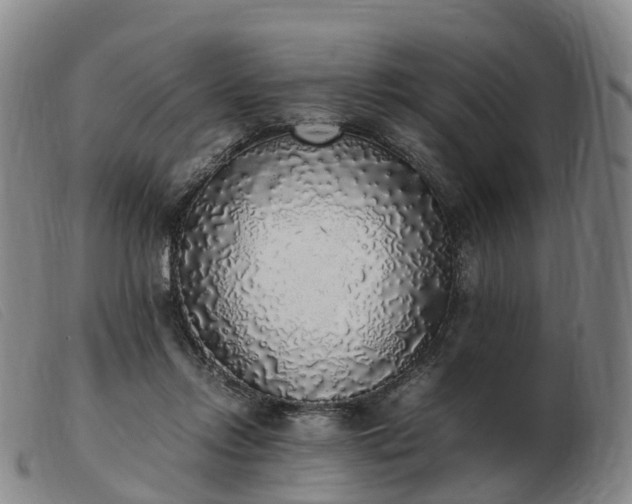 X0000103430358200809191706