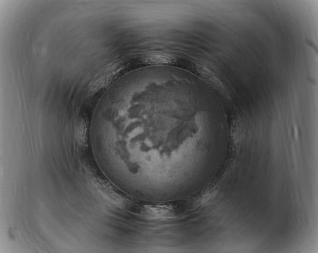 X0000103430359200809191706