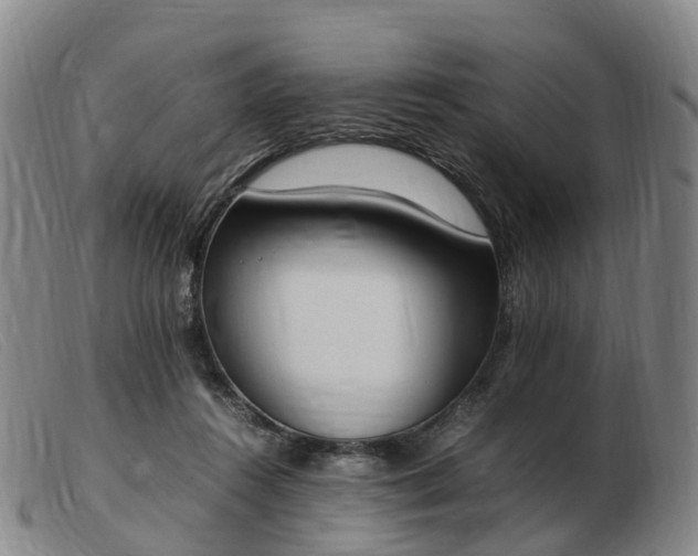 X0000103430360200809191706