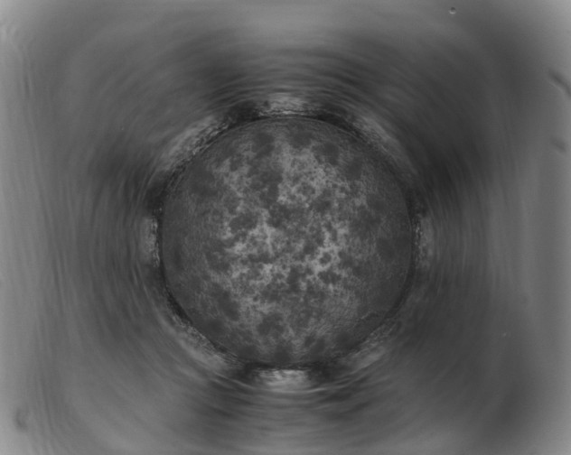 X0000103430361200809191706