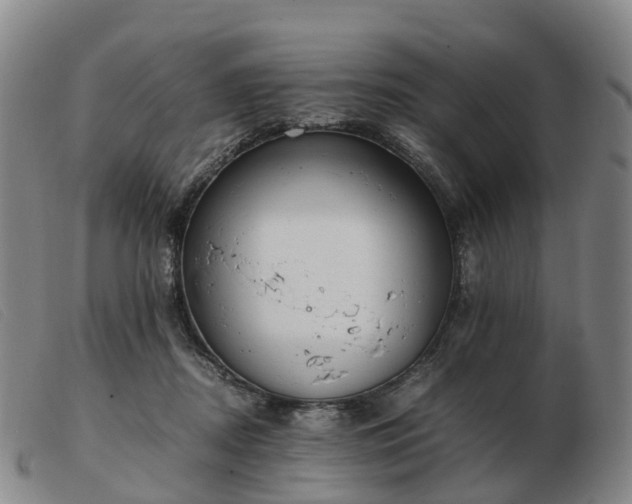 X0000103430362200809191706