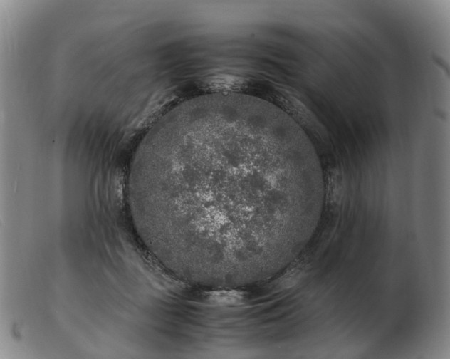 X0000103430363200809191706