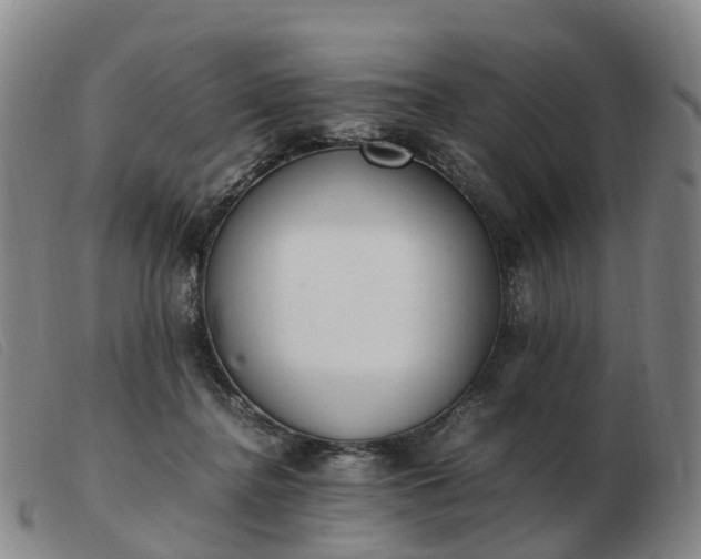 X0000103430364200809191706