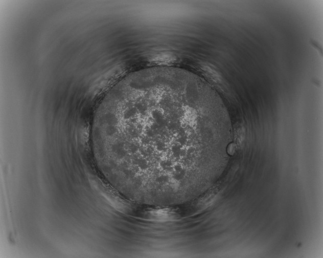 X0000103430365200809191706