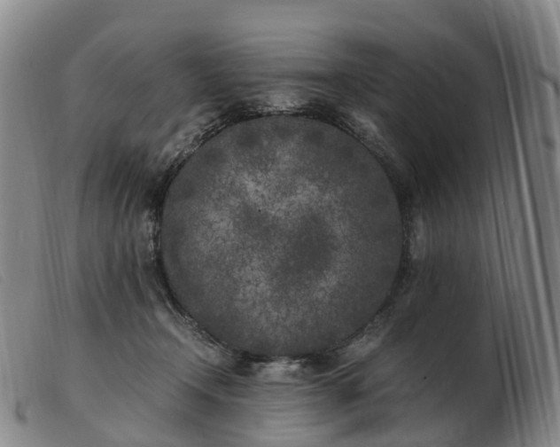 X0000103430366200809191706