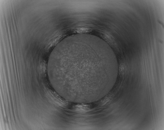 X0000103430367200809191706