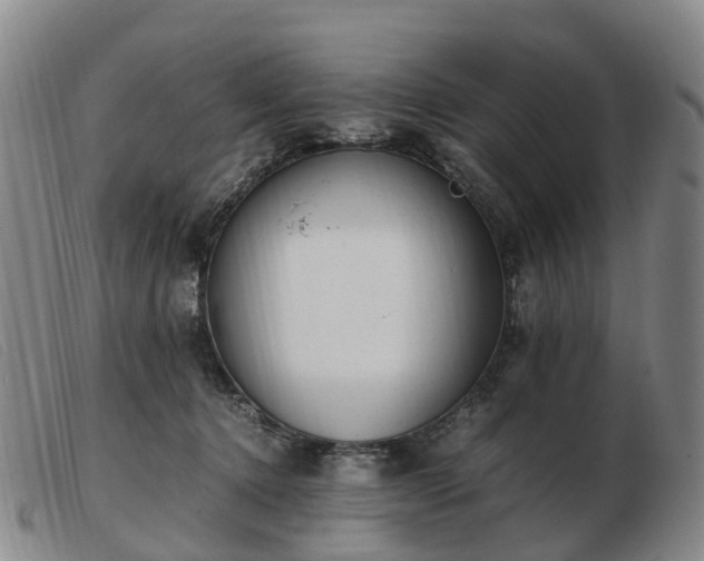 X0000103430368200809191706