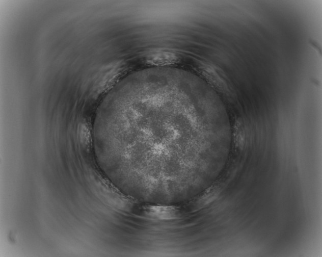 X0000103430371200809191706