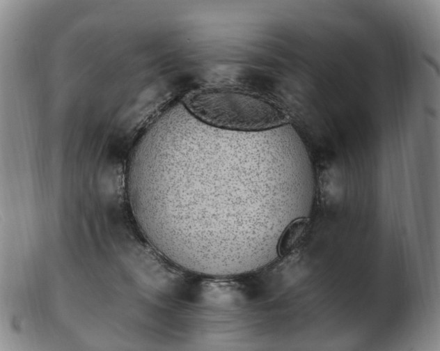 X0000103430372200809191706