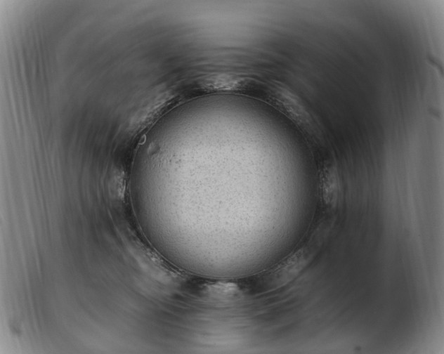 X0000103430374200809191706