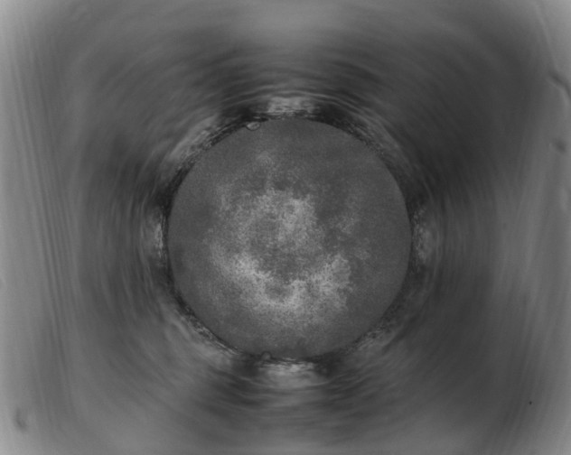 X0000103430375200809191706