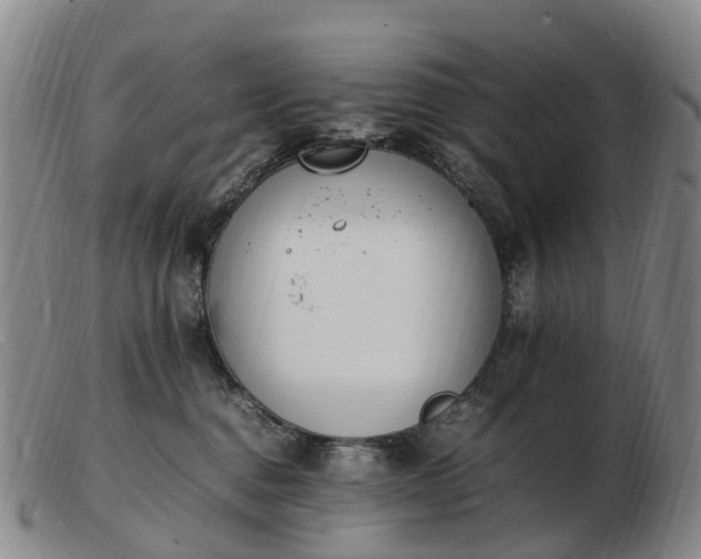 X0000103430376200809191706