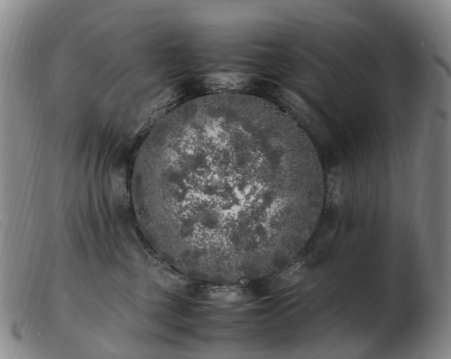 X0000103430377200809191706